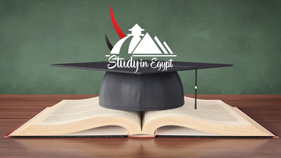 Best Arabic Schools in Egypt: Cairo Programs, Costs & Online Options 12 image 1