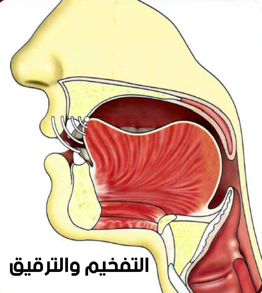What Are The Characteristics Of Arabic Letters (Sifaat Al Huroof)? 10 image 105