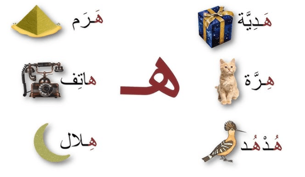 The Arabic Letter (Ha)