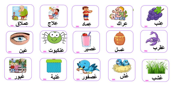 The Arabic Letter "ع" (Ain) And Its Form, Pronunciation, And Examples 4 Words And Sentences Featuring "ع"