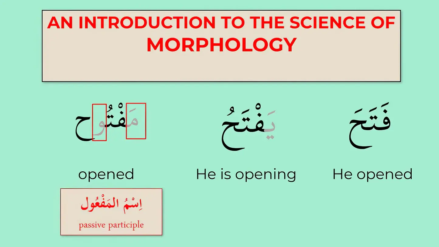Arabic Morphology For Beginners
