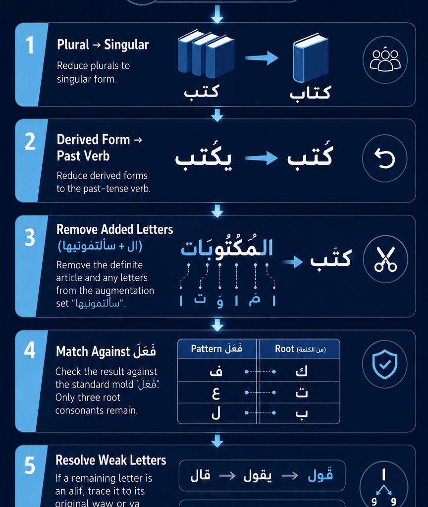 Arabic Root Letters: The System Behind Every Arabic Word 2 image 25
