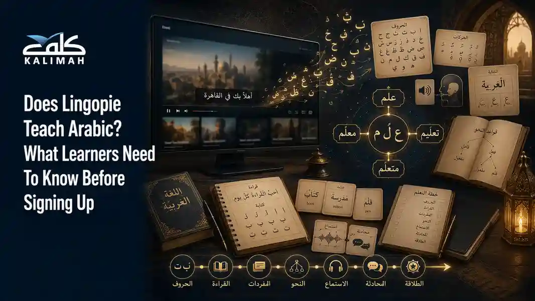 Does Lingopie Teach Arabic