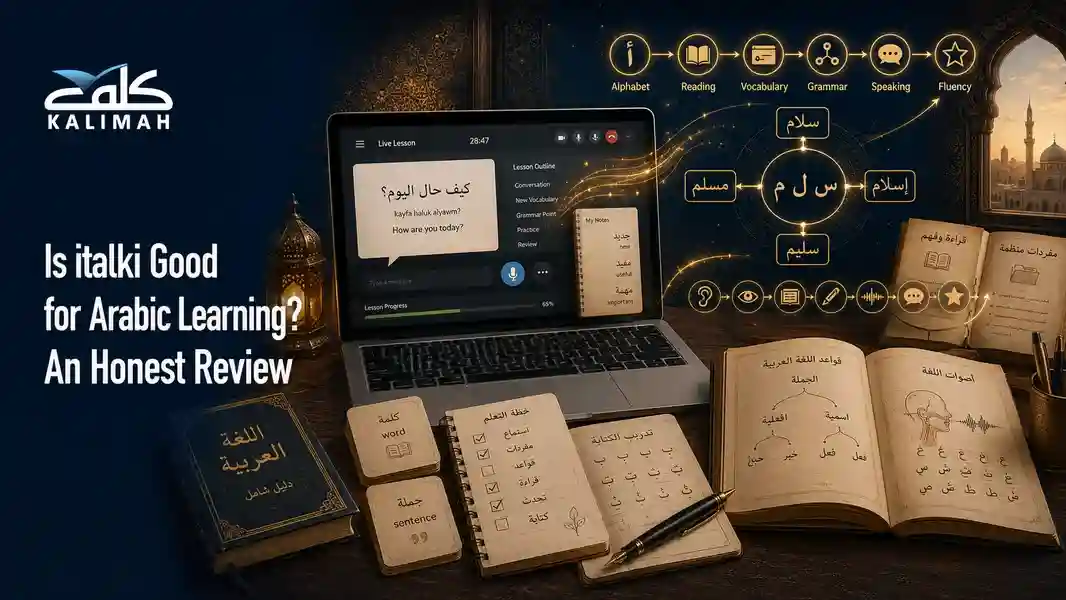 is italki good for arabic learning
