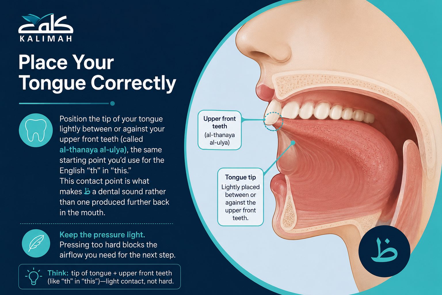 How To Pronounce Dha ظ In Arabic? A Complete Guide To The Letter Ẓāʾ 1 image 110