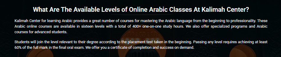 Arabic Immersion Magnet School - What It Is and Why a Specialized Arabic Academy Does More 6 image 218
