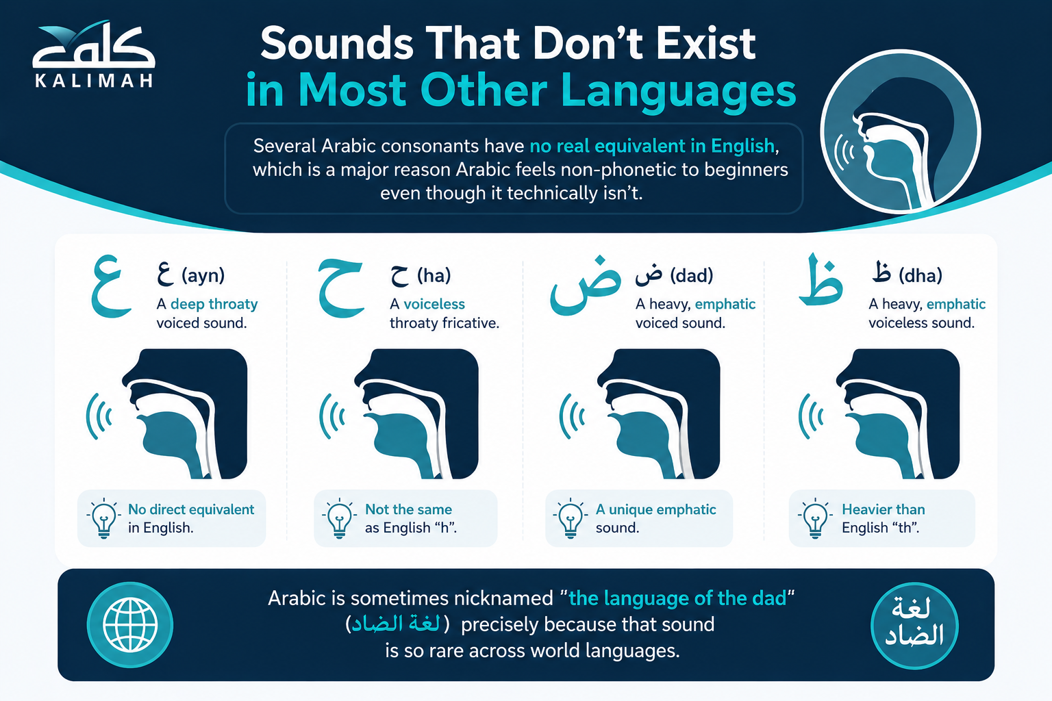 Is Arabic A Phonetic Language?