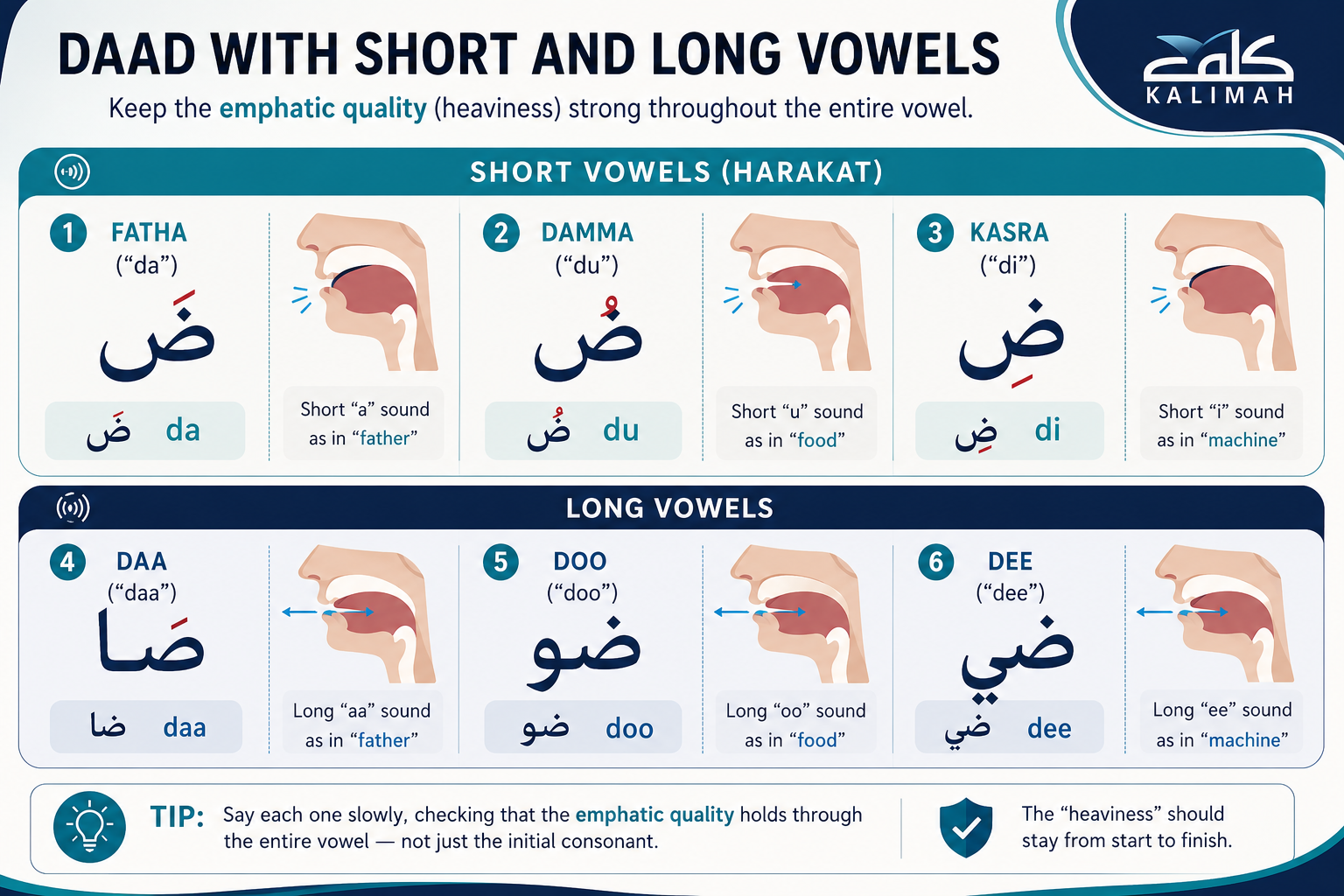 How To Pronounce The Arabic Letter Daad (ض)? - A Complete Guide 2 image 91