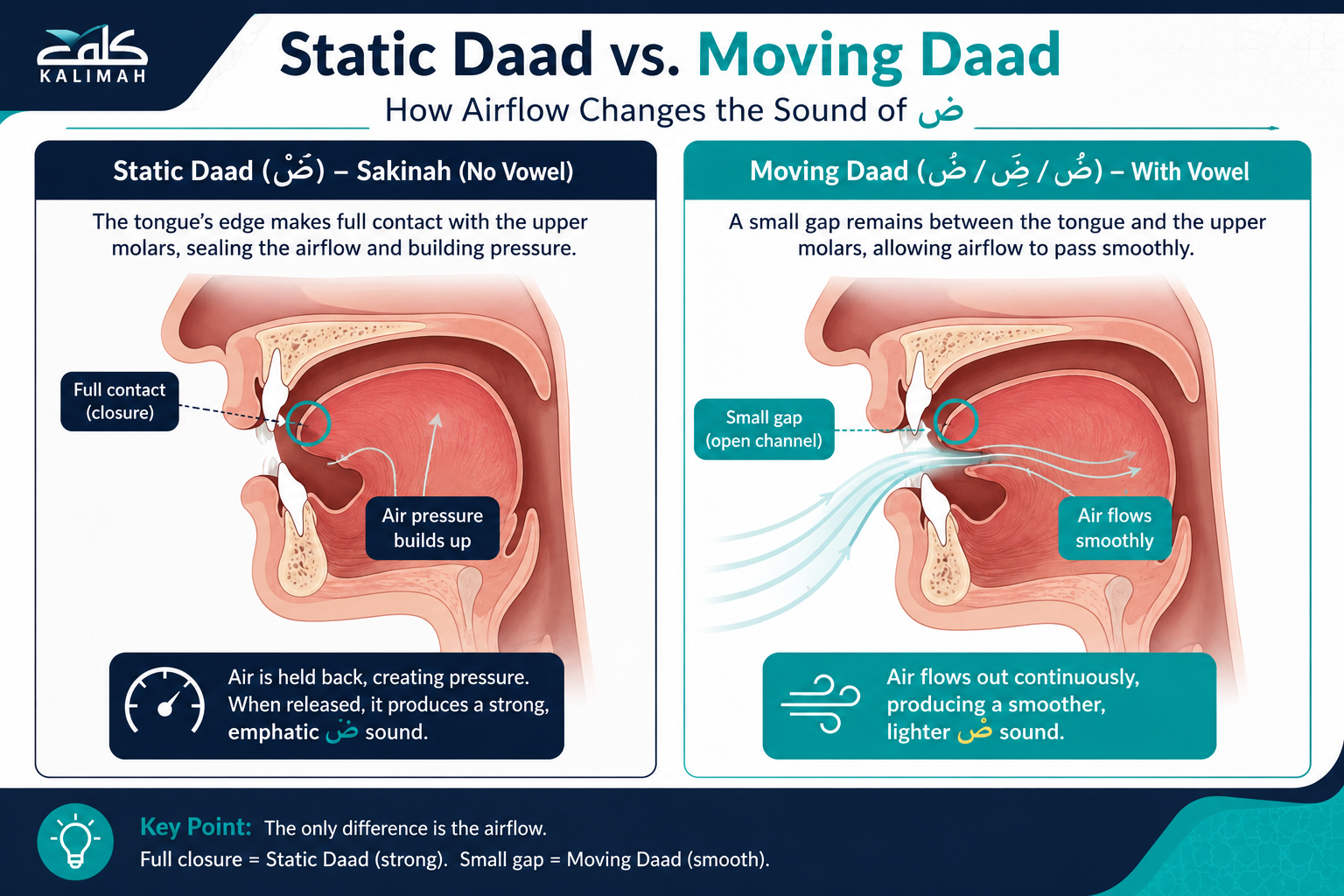 How To Pronounce The Arabic Letter Daad (ض)? - A Complete Guide 1 image 93
