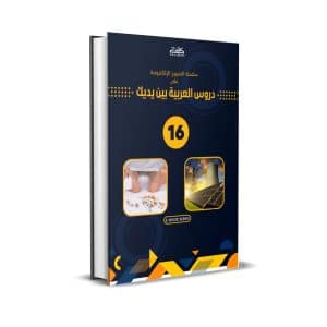 Ebook-Level 16