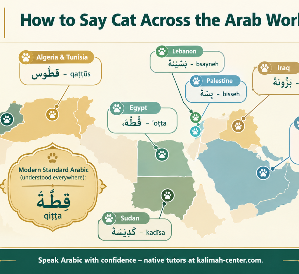 How to Say Cat Across the Arab World